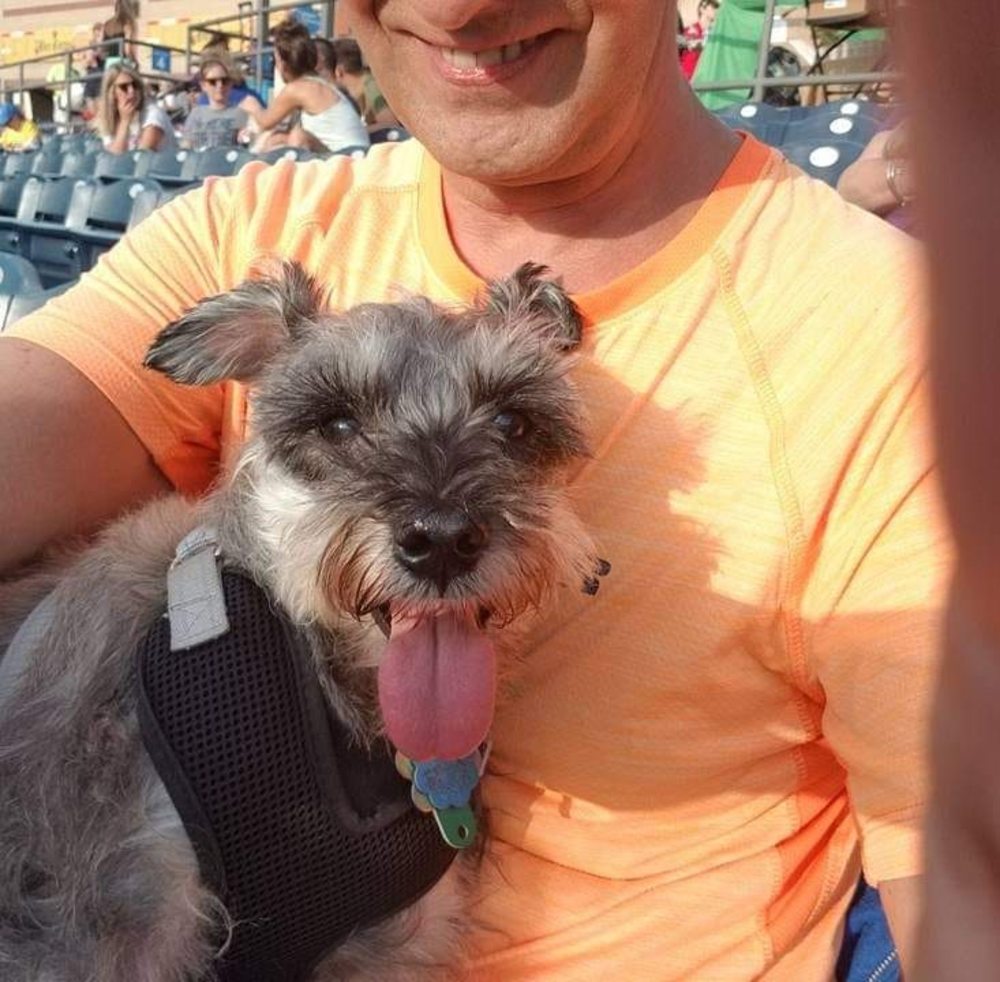 Meet your Posher, David